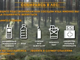 Какое снаряжение взять с собой, как вести себя в лесу, какие меры безопасности следует соблюдать и что делать, если вы все же заблудились.